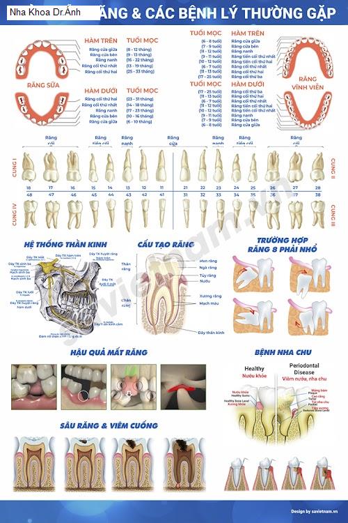 Hình ảnh Nha Khoa Dr.Ánh
